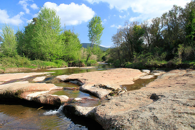 La plaine des Maures