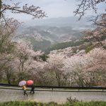 Nara au Japon paysage