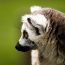Voyage écotouristique à Madagascar : 3 sites naturels à visiter absolument
