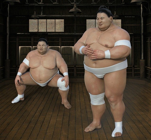 Sumo Sumoringer au Japon