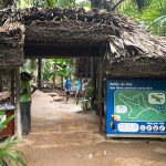 Vallee de Mai Praslin Seychelles