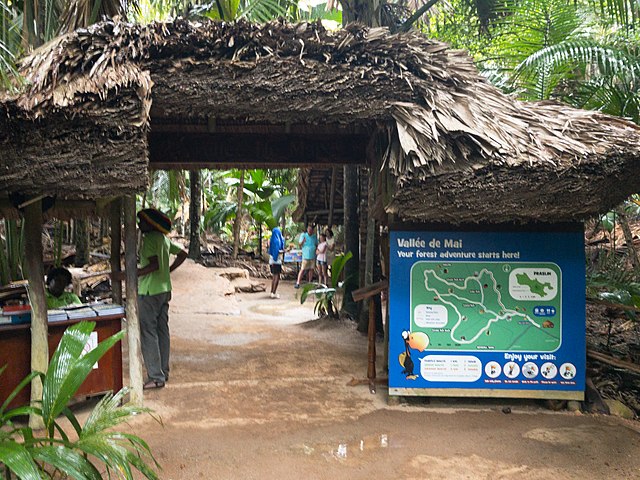 Vallee de Mai Praslin Seychelles