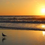 Jacksonville Beach