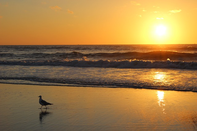 Jacksonville Beach