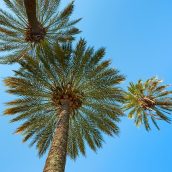 Que faire aux îles Fidji ? Top 3 des activités à ne pas manquer