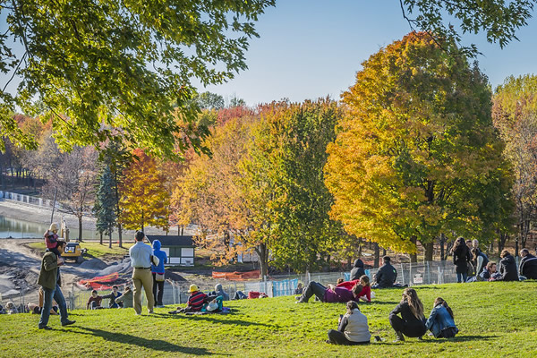 Parc Mont Royal Montreal Canada