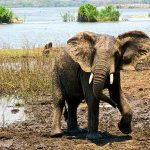 Voyage en Afrique top 3 des sites à visiter au Malawi