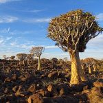 Vacances en Afrique séjour culturel en Namibie