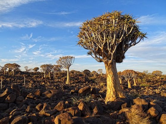 Namibie