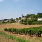 Bordeaux un endroit impeccable pour passer un bon séjour en famille