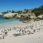 Sur le chemin du Cap de Bonne-Espérance, en Afrique du Sud