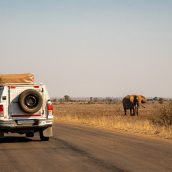 Quelques astuces pour réaliser un road trip en Namibie