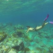 Les activités nautiques à essayer lors d’un voyage en Guadeloupe