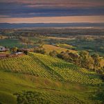 Top 3 des plus beaux vignobles d'Australie