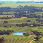 Top 3 des plus beaux vignobles d'Australie
