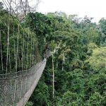 Rwanda