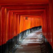 Quels sont les trésors cachés à découvrir dans le quartier historique de Gion à Kyoto, au Japon ?