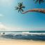 Les meilleures activités à faire lors d’un voyage au Sri Lanka