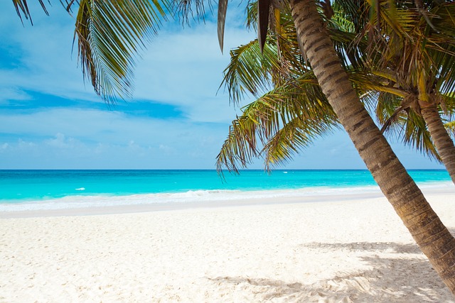 Les 10 Plus Beaux Lieux de Plongée aux Caraïbes pour Explorer des Écosystèmes Sous-Marins Éblouissants