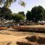 Quelles activités à Saly (Sénégal) pour vos vacances en 2025 ?