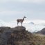 Coût d’un voyage en Patagonie : tout ce qu’il faut savoir