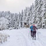 Découverte du domaine skiable Villard-de-Lans / Corrençon : nature, glisse et grand air