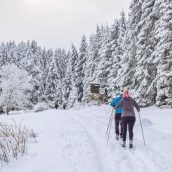 Découverte du domaine skiable Villard-de-Lans / Corrençon : nature, glisse et grand air