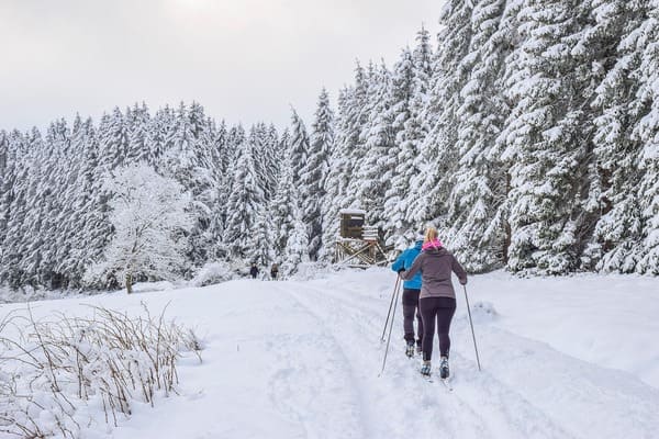 domaine skiable Villard-de-Lans Corrençon